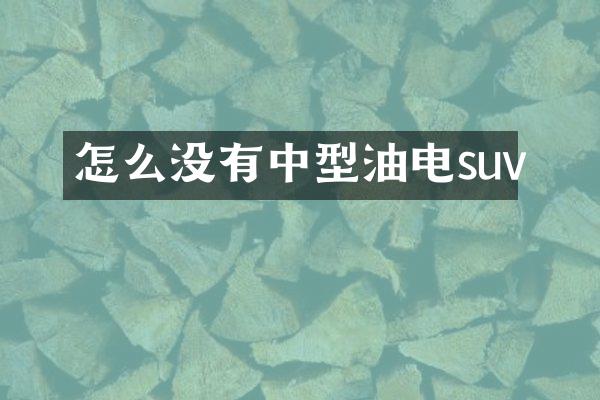 怎么没有中型油电suv