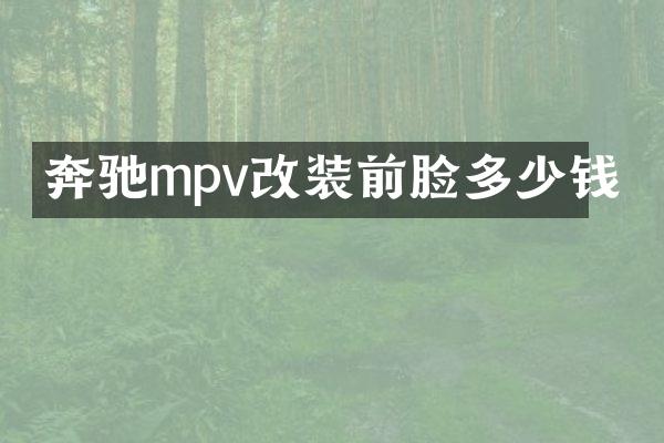 奔驰mpv改装前脸多少钱