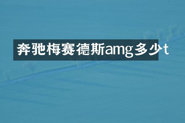 奔驰梅赛德斯amg多少t