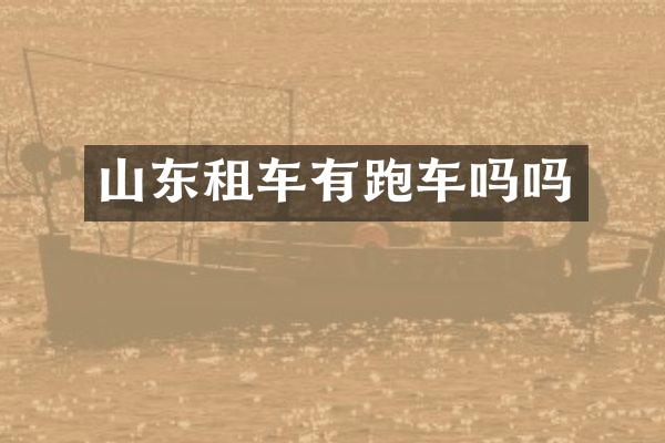 山东租车有跑车吗吗