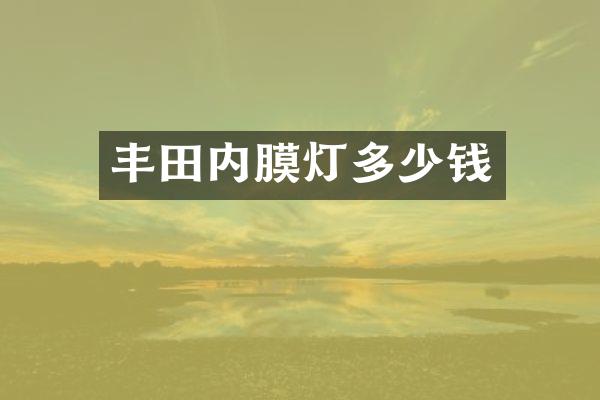 丰田内膜灯多少钱