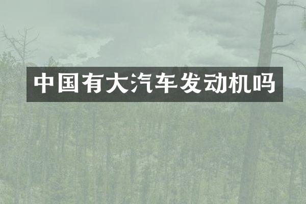 中国有大汽车发动机吗
