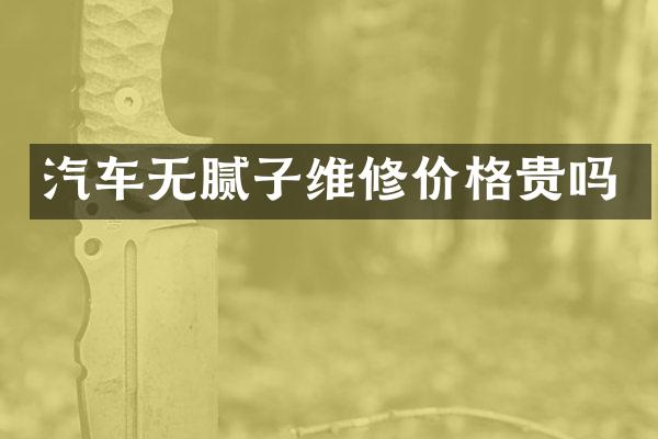 汽车无腻子维修价格贵吗