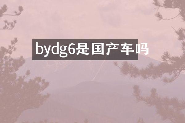 bydg6是国产车吗
