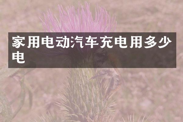 家用电动汽车充电用多少电