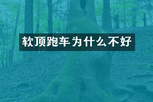 软顶跑车为什么不好