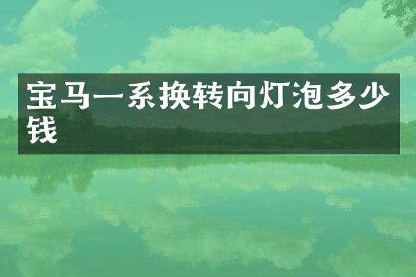 宝马一系换转向灯泡多少钱