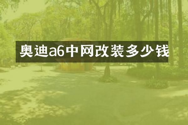奥迪a6中网改装多少钱