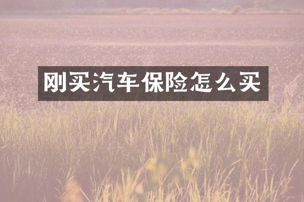 刚买汽车保险怎么买