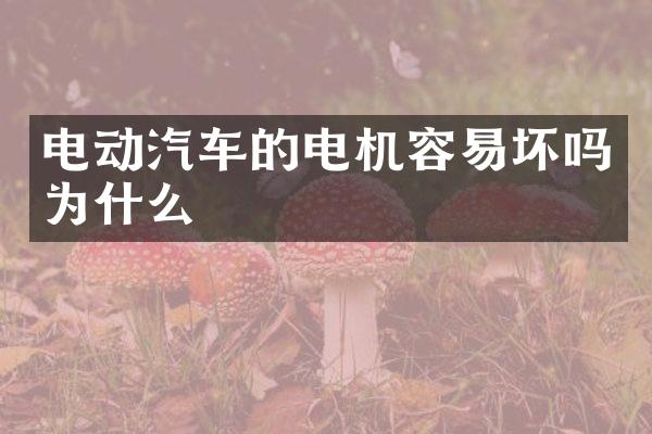 电动汽车的电机容易坏吗为什么
