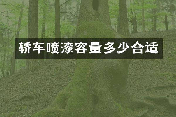 轿车喷漆容量多少合适