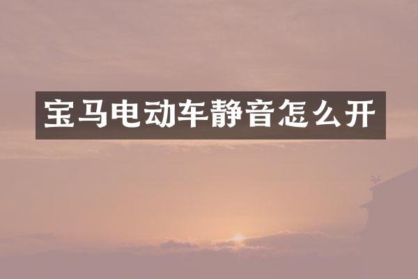 宝马电动车静音怎么开