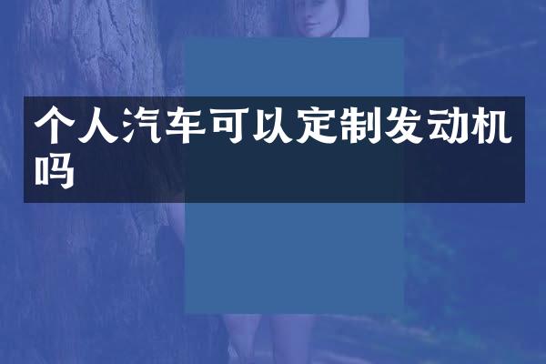 个人汽车可以定制发动机吗