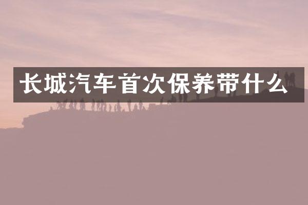 长城汽车首次保养带什么