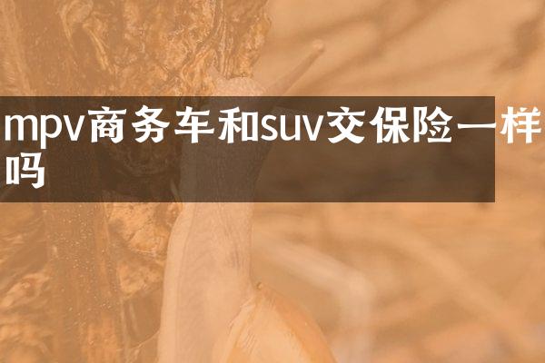 mpv商务车和suv交保险一样吗