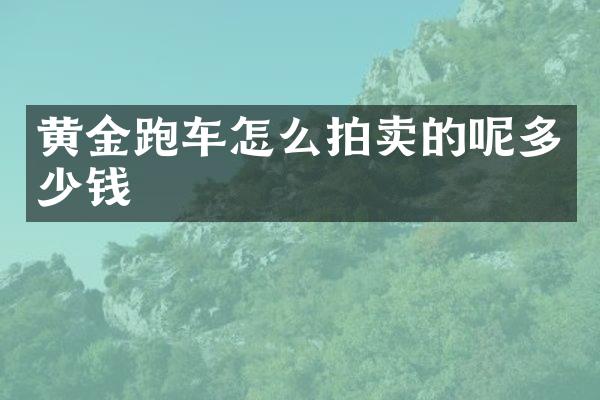 黄金跑车怎么拍卖的呢多少钱