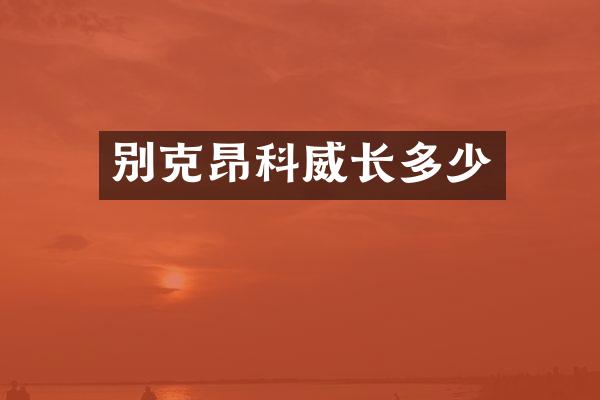 别克昂科威长多少