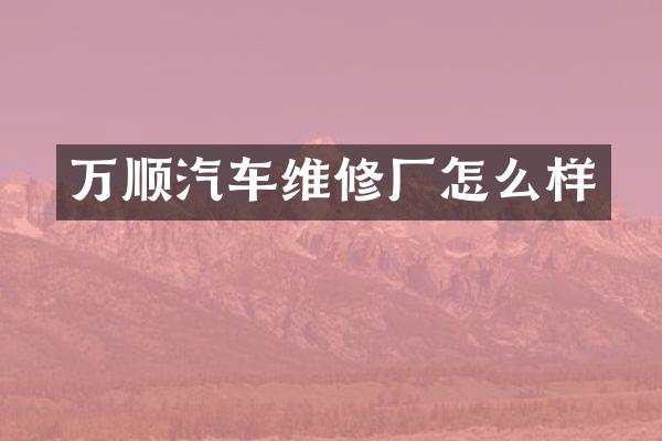 万顺汽车维修厂怎么样