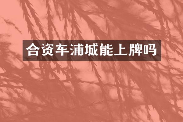 合资车浦城能上牌吗