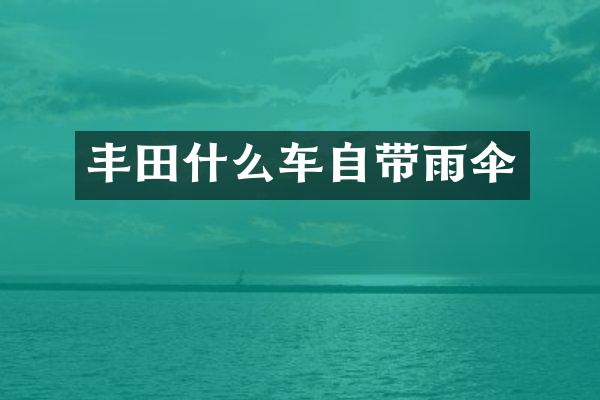 丰田什么车自带雨伞