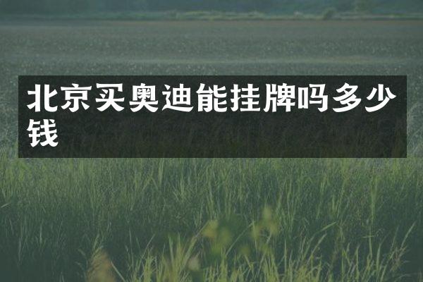 北京买奥迪能挂牌吗多少钱