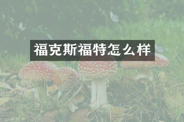 福克斯福特怎么样