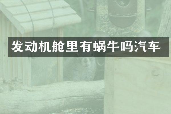 发动机舱里有蜗牛吗汽车