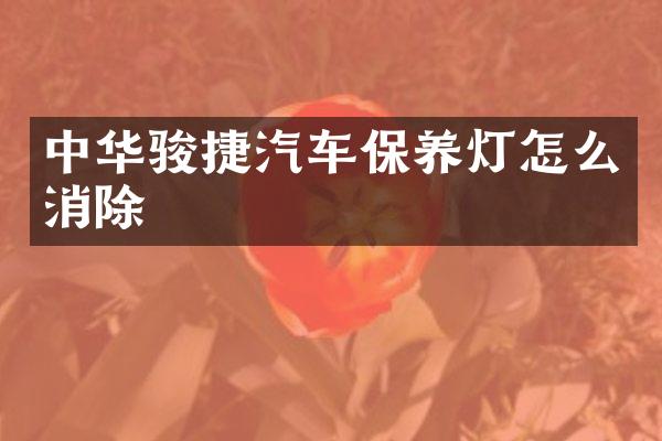 中华骏捷汽车保养灯怎么消除