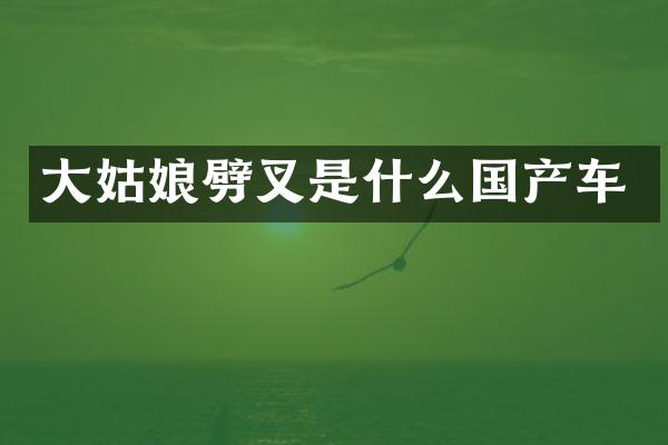 大姑娘劈叉是什么国产车