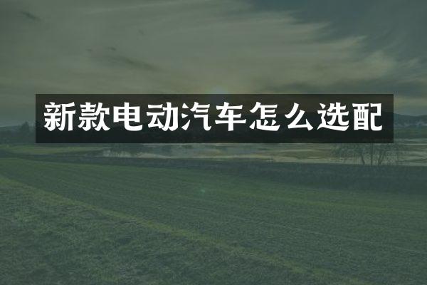 新款电动汽车怎么选配