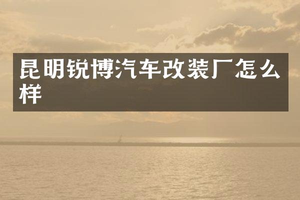 昆明锐博汽车改装厂怎么样