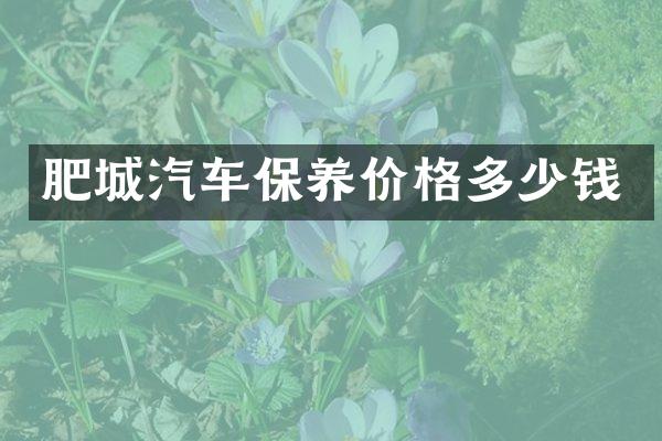 肥城汽车保养价格多少钱