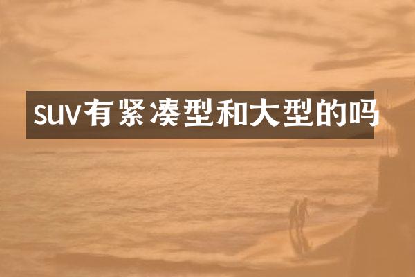 suv有紧凑型和大型的吗