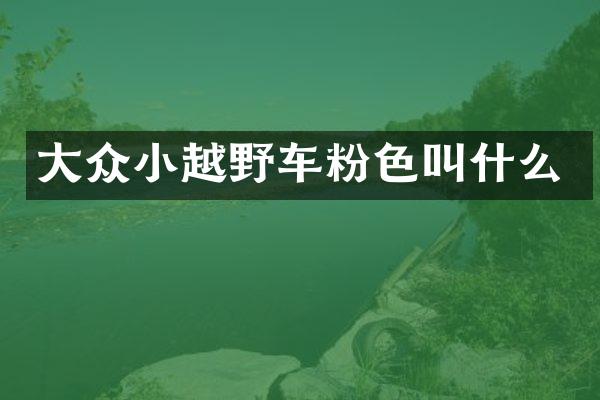 大众小越野车粉色叫什么