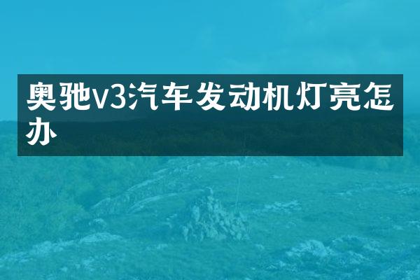 奥驰v3汽车发动机灯亮怎么办