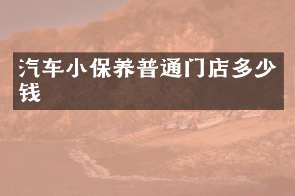 汽车小保养普通门店多少钱