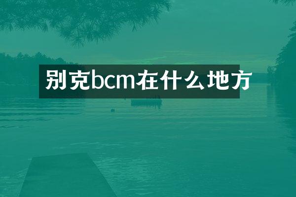 别克bcm在什么地方