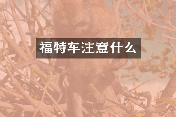 福特车注意什么