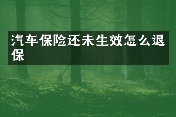汽车保险还未生效怎么退保