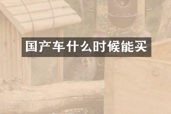 国产车什么时候能买