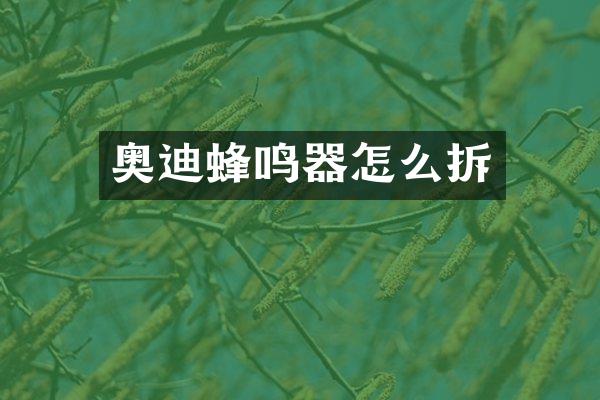 奥迪蜂鸣器怎么拆