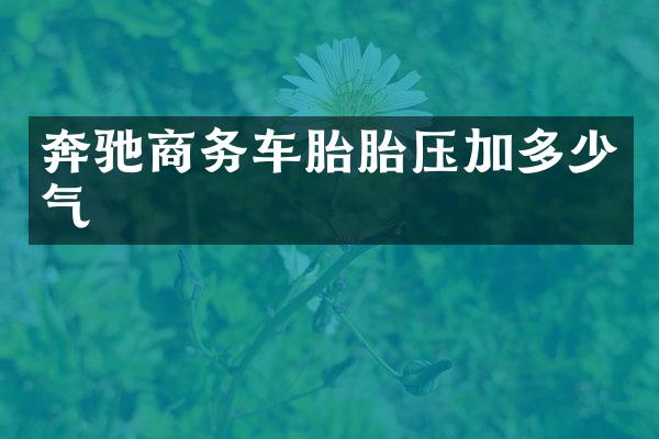 奔驰商务车胎胎压加多少气