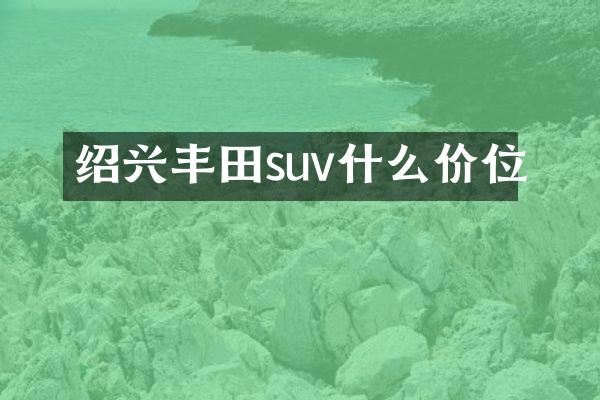 绍兴丰田suv什么价位
