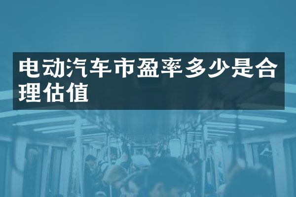 电动汽车市盈率多少是合理估值