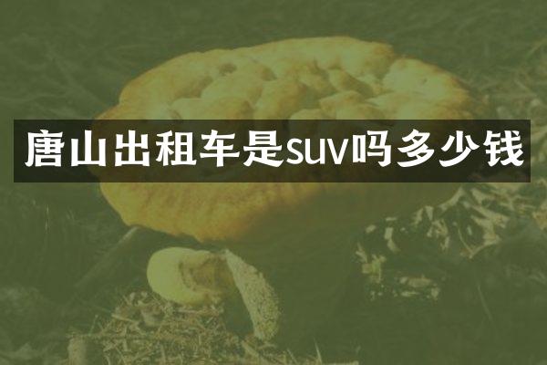 唐山出租车是suv吗多少钱