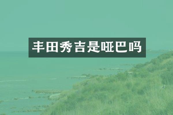丰田秀吉是哑巴吗