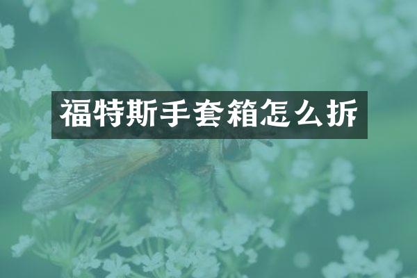 福特斯手套箱怎么拆