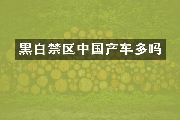 黑白禁区中国产车多吗