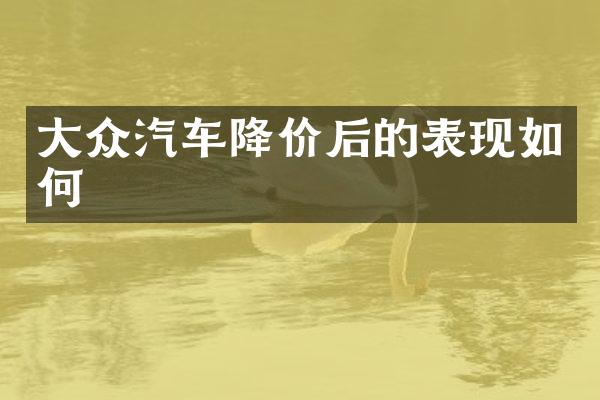大众汽车降价后的表现如何