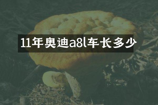 11年奥迪a8l车长多少